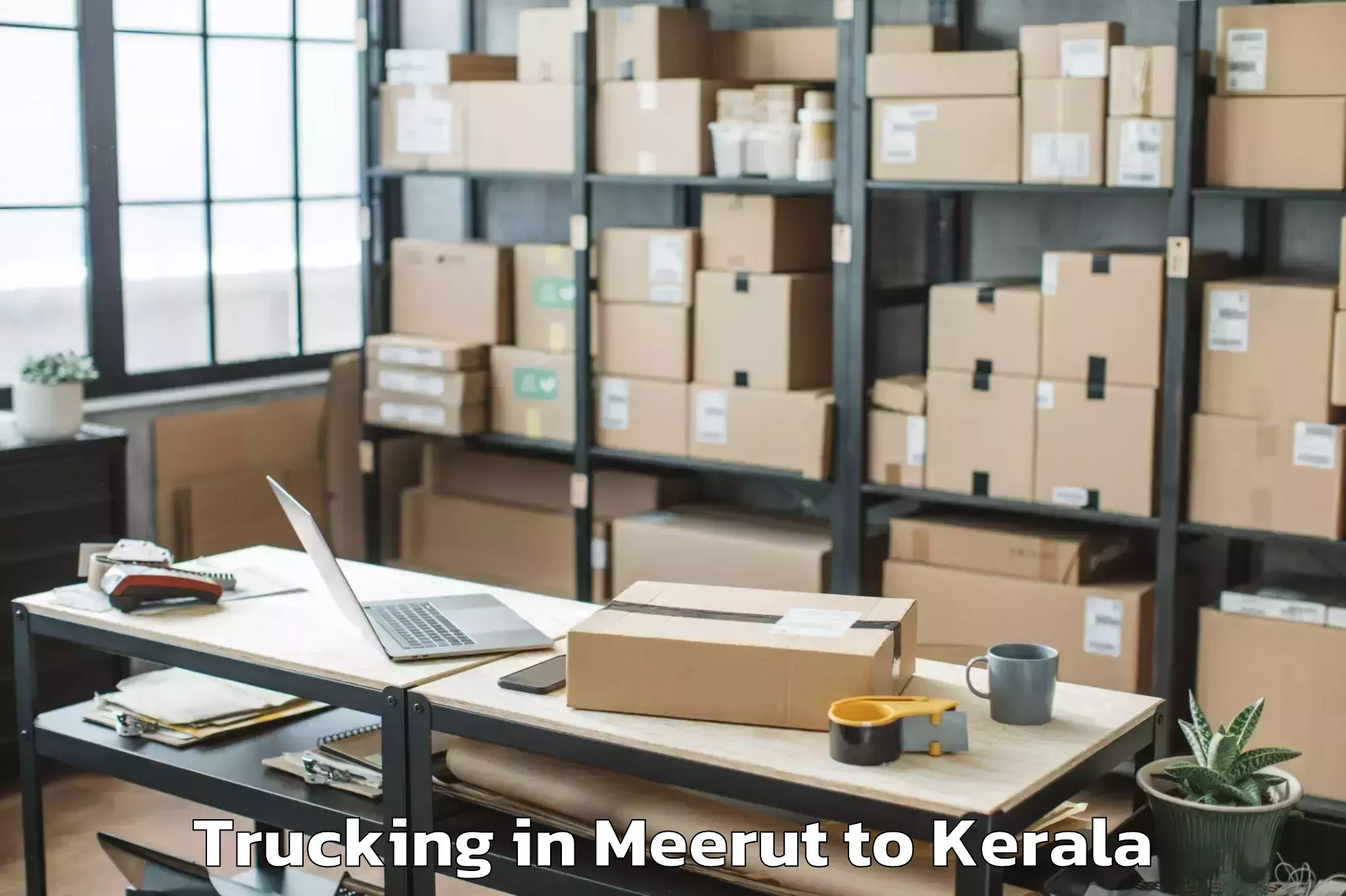 Professional Meerut to Palackattumala Trucking